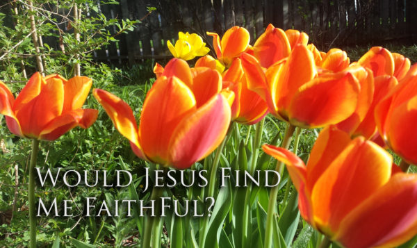 Would Jesus Find Me Faithful?