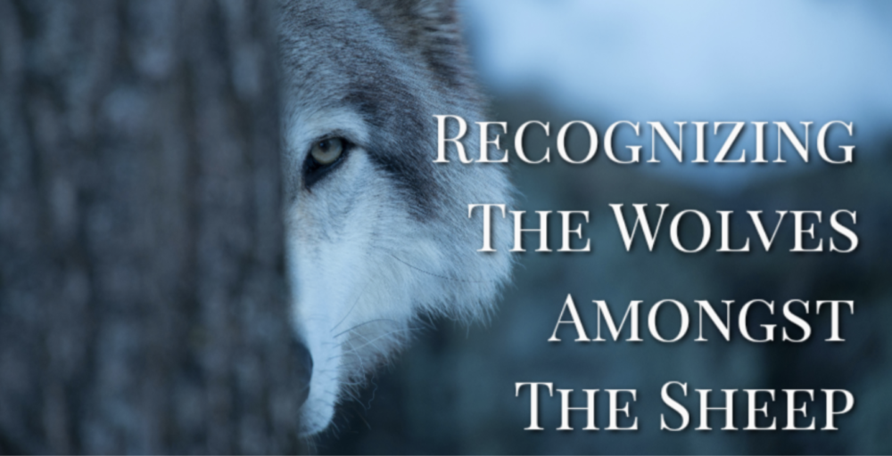 Recognizing the Wolves amongst the Sheep