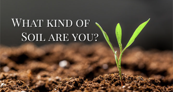 What Kind of Soil Are You?