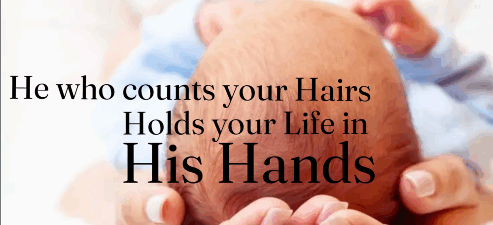 He who counts your hairs holds your life in His hands